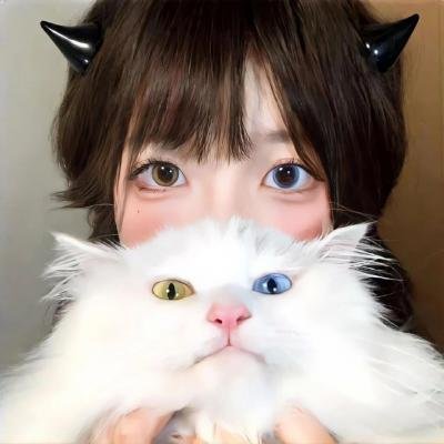 蝴蝶行动